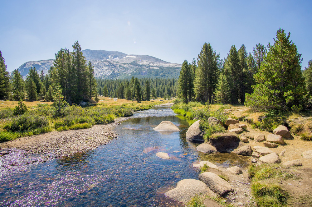 Yosemite National Park Tour from San Francisco