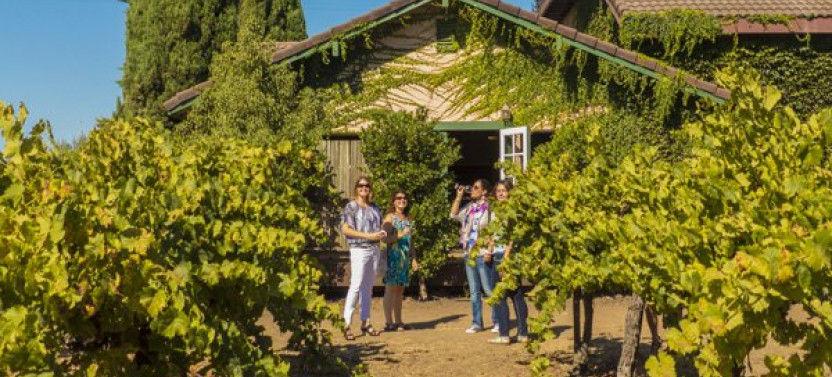 Full Day Sonoma + Napa Wine Country Tour from San Francisco