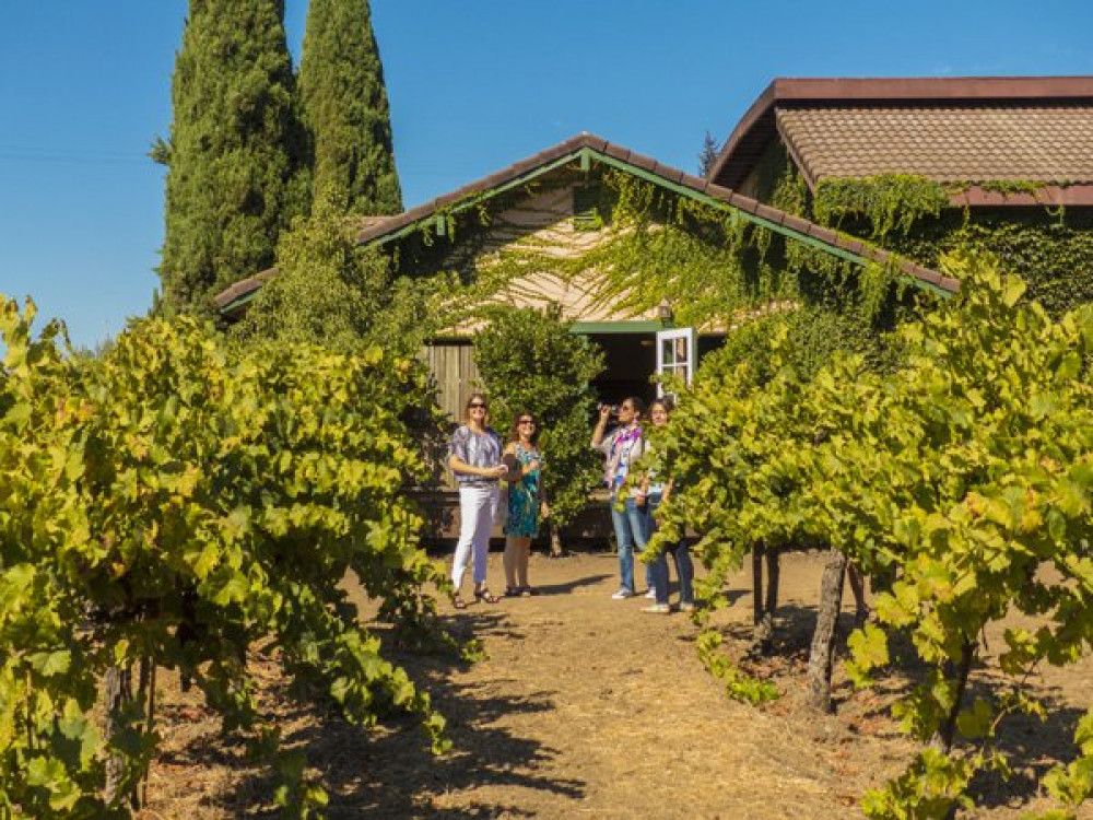napa valley & sonoma wine country tour from san francisco