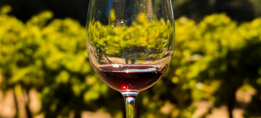 Full Day Sonoma + Napa Wine Country Tour from San Francisco