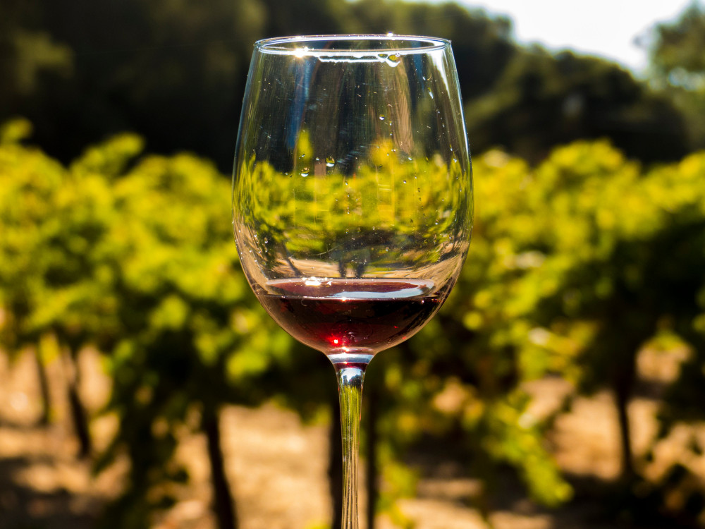 Full Day Sonoma + Napa Wine Country Tour from San Francisco San