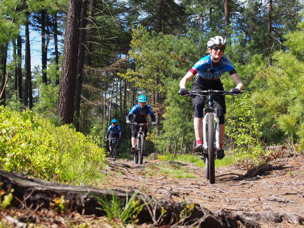 Mountain Bike Tour in Bohemian Switzerland National Park