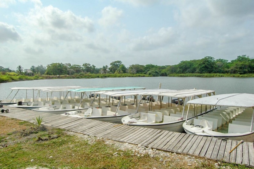 Lamanai Jungle River Tour