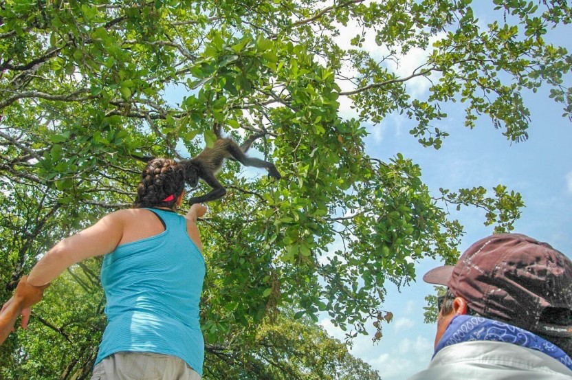 Belize Rum Tour & Agua Dulce Cenote