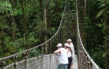 Hike & Nature: Arenal Hanging Bridges + La Fortuna Waterfall