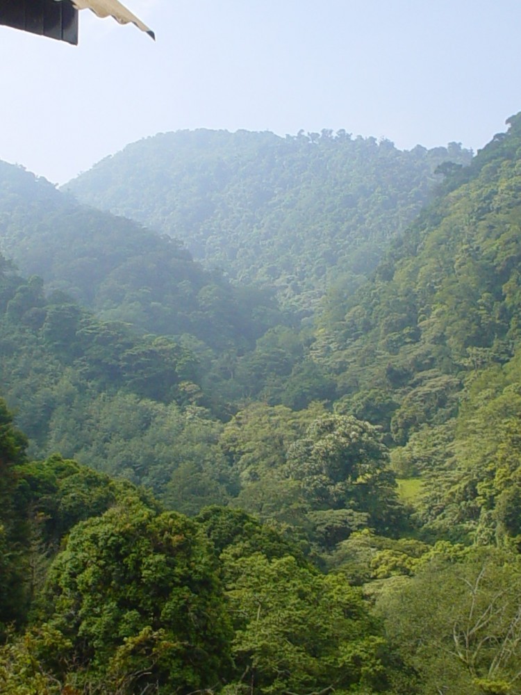 Juan Castro Blanco National Park Tour - La Fortuna | Project Expedition