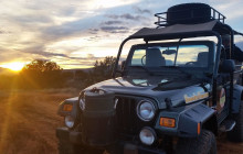 Arizona Safari Jeep Tours17