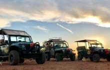 Arizona Safari Jeep Tours20