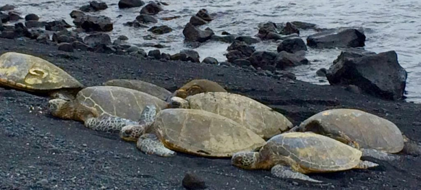 Private Evening Volcano Explorer from Waikoloa & Kohala