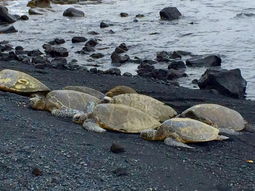 Private Evening Volcano Explorer from Waikoloa & Kohala