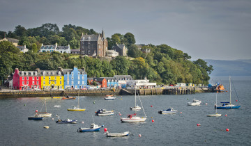 A picture of 4 Day Mull, Iona And Staffa Puffin Experience (Twin Room)