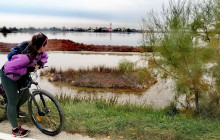 Flamingos & Birdwatching Bike Tour In The Venetian Lagoon