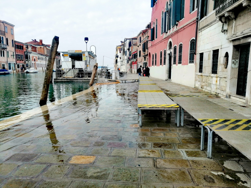 Venice Sinking? Walk In Venice With Nature & Interpretive Guide