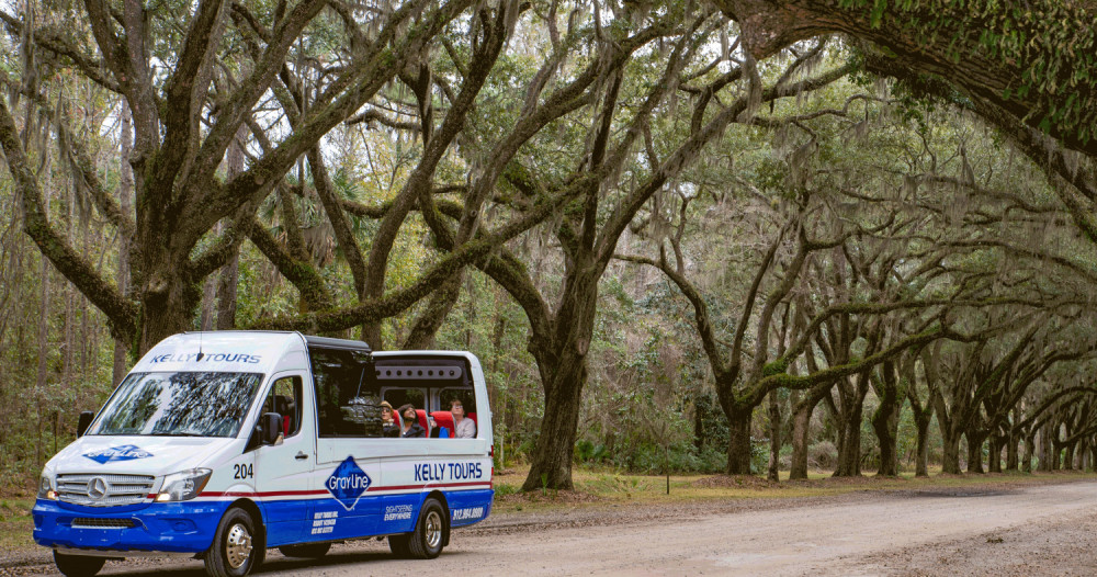 Wormsloe Plantation & Bonaventure Cemetery with Lunch