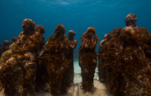 isla snorkeling