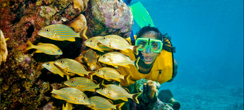 Mayan Adventure Snorkeling  from Cancun