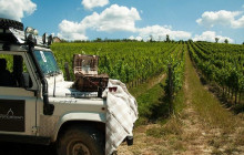 Private Wineland Safari