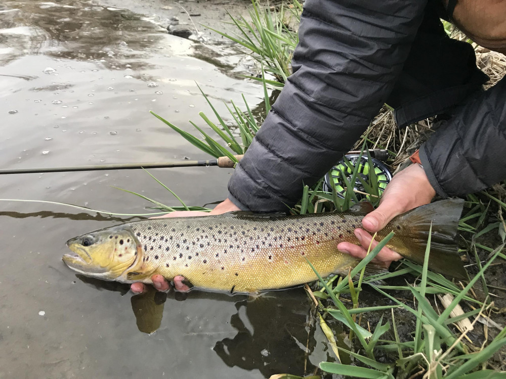 Private Full Day Fly Fishing From Denver Denver Project Expedition