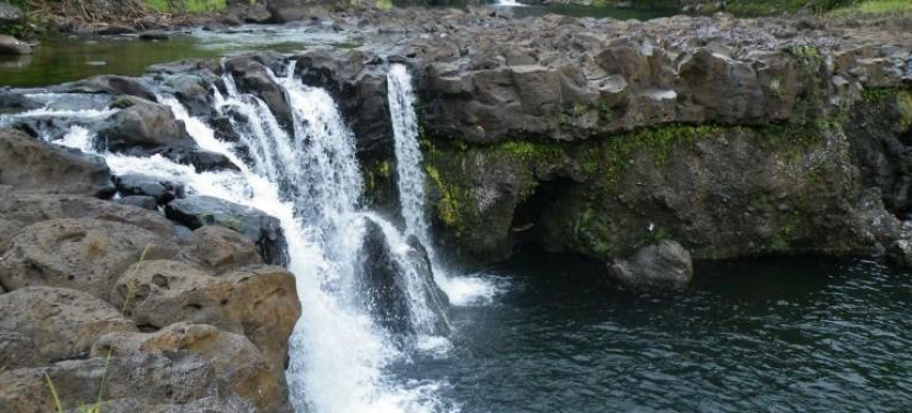 Umauma Swim & Kayak Experience