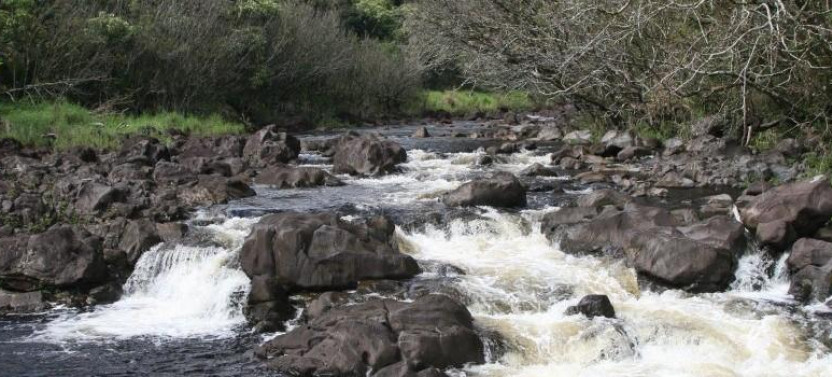 Umauma Swim & Kayak Experience