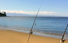 3-Hour Shoreline Fishing Tour