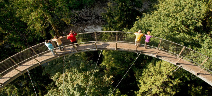 Ultimate Vancouver Tour with Capilano Suspension Bridge and Lunch