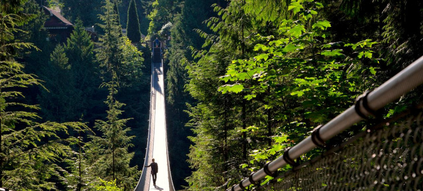 Ultimate Vancouver Tour with Capilano Suspension Bridge and Lunch