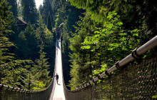 Ultimate Vancouver Tour with Capilano Suspension Bridge and Lunch