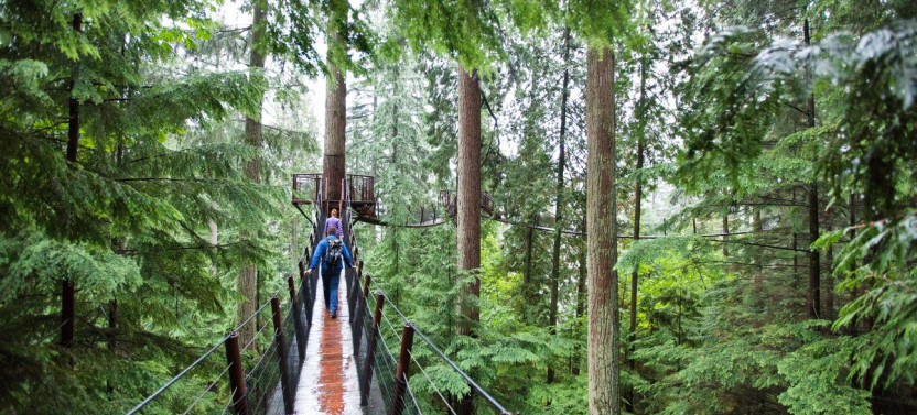 Ultimate Vancouver Tour with Capilano Suspension Bridge and Lunch