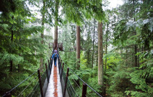 Ultimate Vancouver Tour with Capilano Suspension Bridge and Lunch