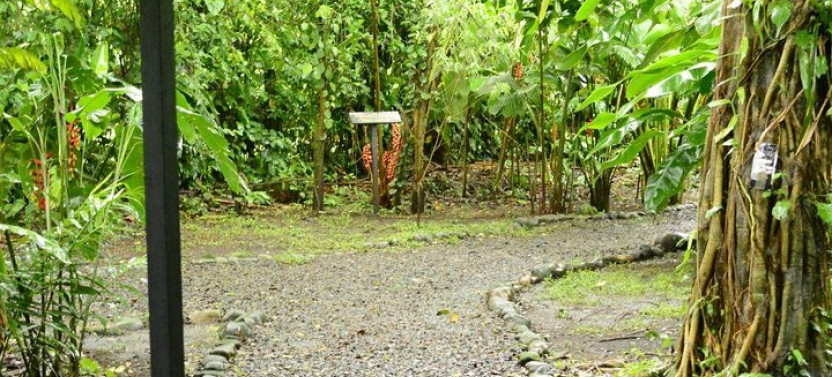 Class II-III Rafting and Chocolate Tour from La Fortuna