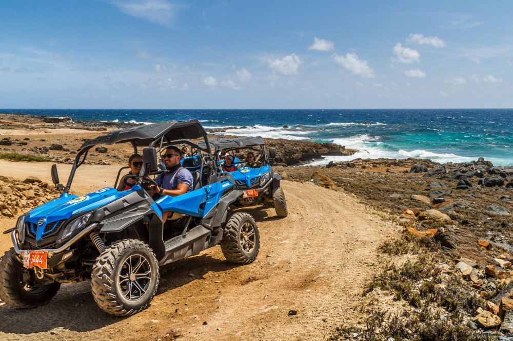 De Palm Tours Aruba | Project Expedition