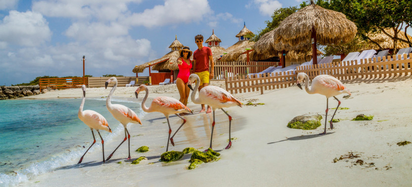 De Palm Island Walk In