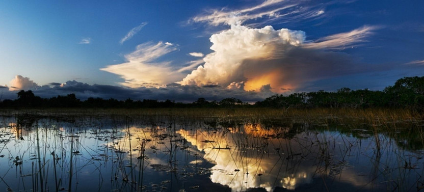 Red Eye Exclusive Nighttime Airboat Adventure