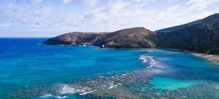 Oahu Grand Circle Tour: North Shore, Waimea Valley & Dole Plantation