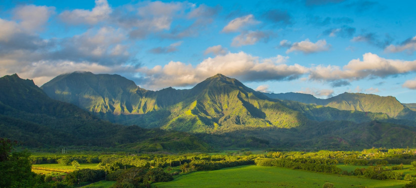 Oahu to Kahului: Best of Maui, Sips, Sites & Bites