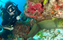 Wreck and Reef Dive Cancun (Two Tanks)