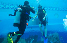 Open Water Diving Certification
