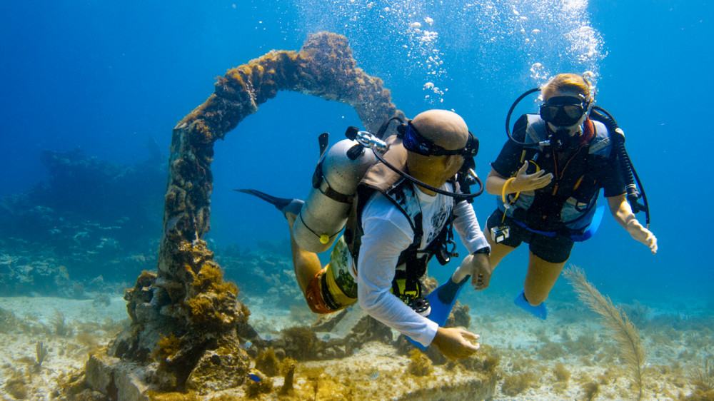 Discover Scuba Diving (Learn To Dive)