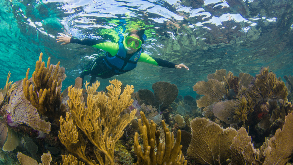 cancun underwater museum snorkel tour