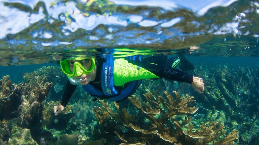 musa cancun snorkel