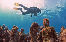 Underwater Museum Dive and Reef Dive (2 Tanks Total)