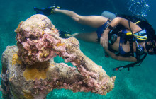 Underwater Museum Dive and Reef Dive (2 Tanks Total)