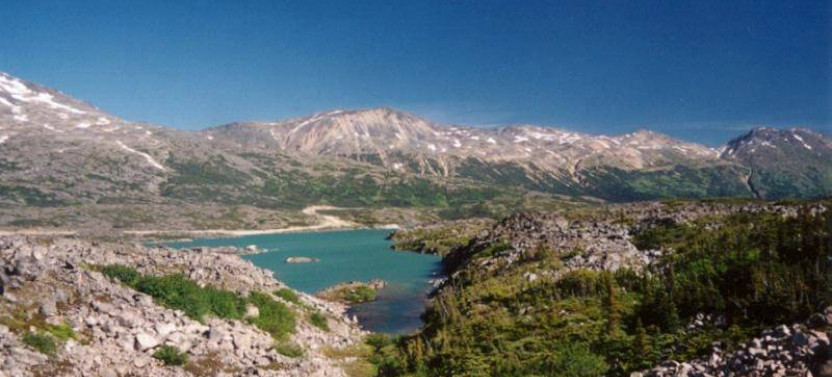 White Pass Summit Rail & Bus Excursion by Rail/Bus