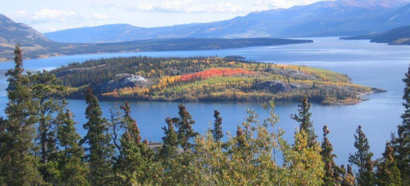 Yukon Rail & Bus Excursion by Rail/Bus