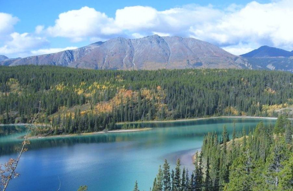 Yukon Rail & Bus Excursion