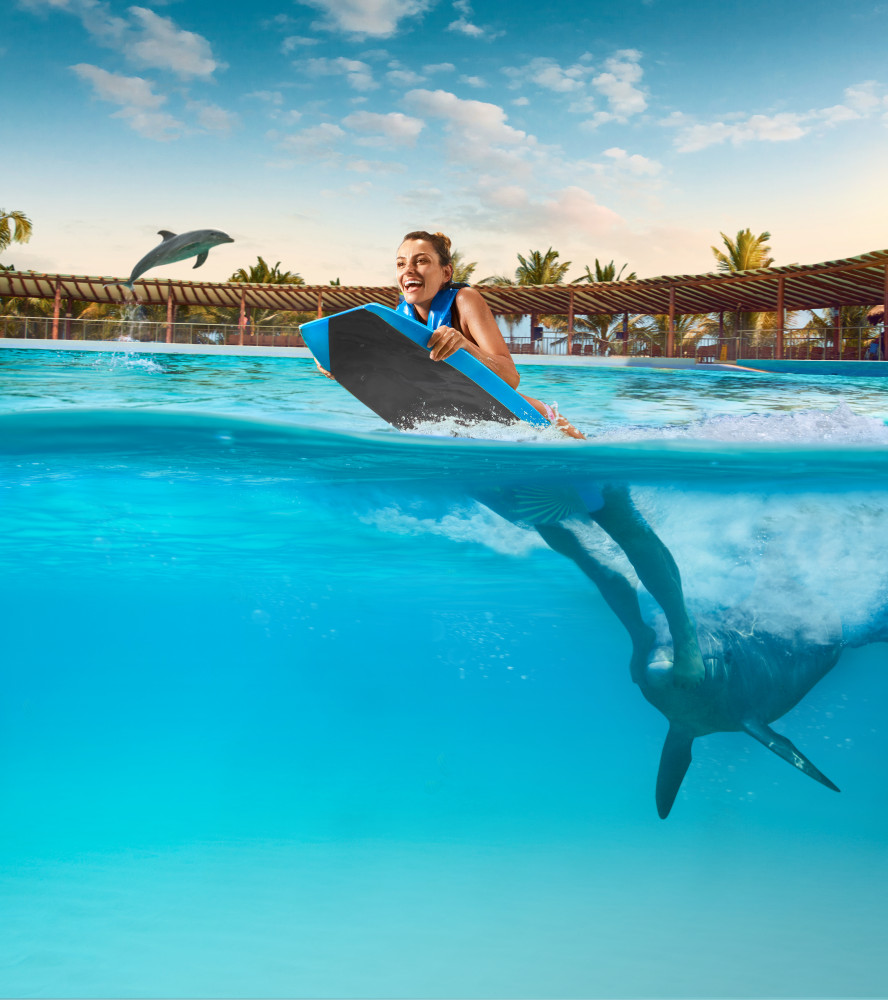 Playa Del Carmen: Dolphin Swim Adventure With Transportation