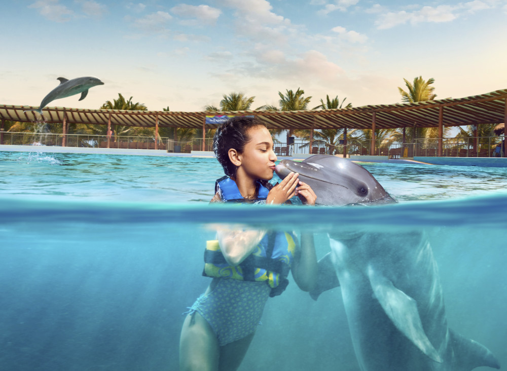 swim with dolphins near playa del carmen