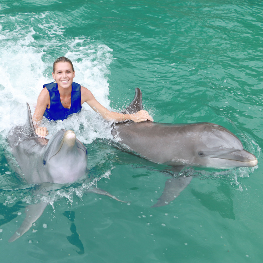 Riviera Maya Puerto Aventuras Dolphin Royal Swim with Transport