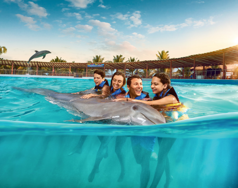 dolphin encounter playa del carmen